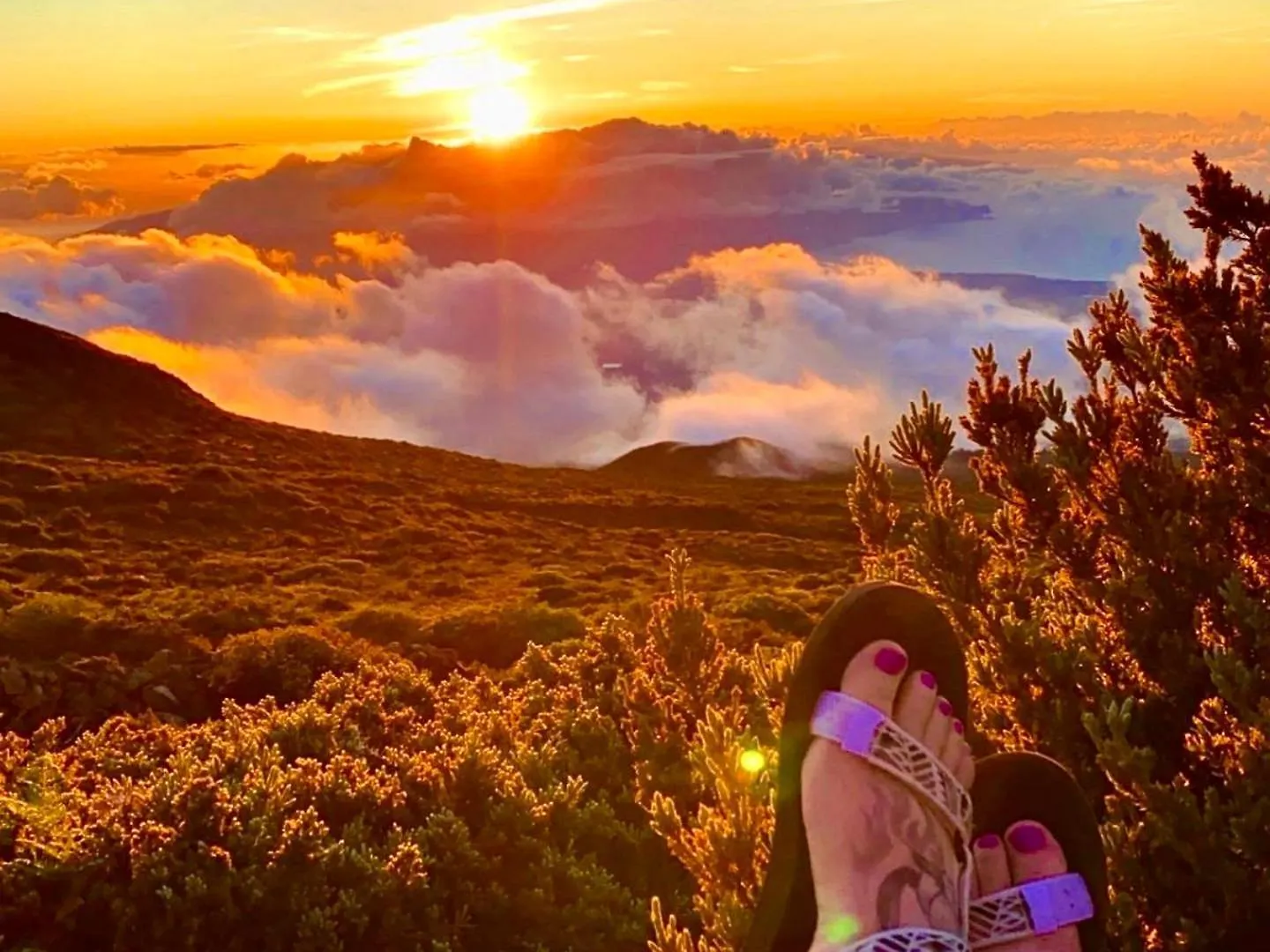 Apartment Campervan/Maui Hosted By Go Camp Maui Kihei